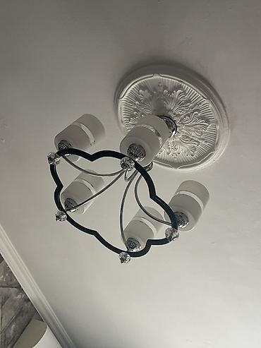 omid cilcıraq: Çılçıraq, 5 lampa, Metal — 1