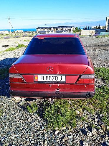 mercedes benz e 250: Mercedes-Benz W124: 1988 г., 2 л, Механика, Дизель, Седан — 3