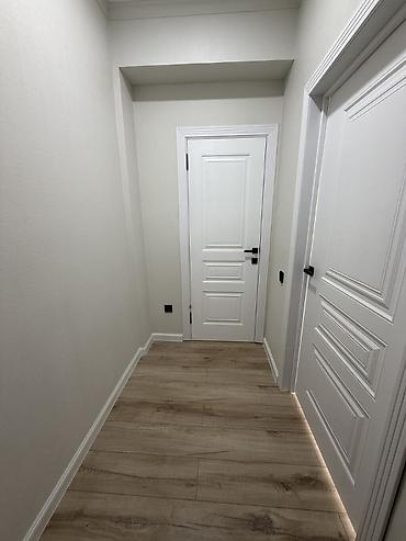 studio apartment: Студия, 29 м², ТЦ Весна Элитка, 9 этаж, Евроремонт — 3