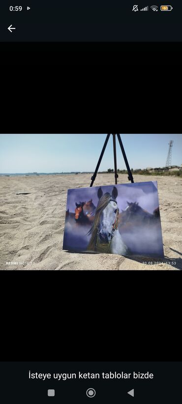 Şəkillər, tablolar: Xüsusi portret və dekorativ rəsm tabloları - Fərdi sifarişlə — 9