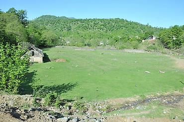 Torpaq sahələrinin satışı: 220 sot, Mülkiyyətçi, Kupça (Çıxarış) — 10