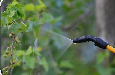 Опрыскиватели: Опрыскиватель Ранцевый — 5