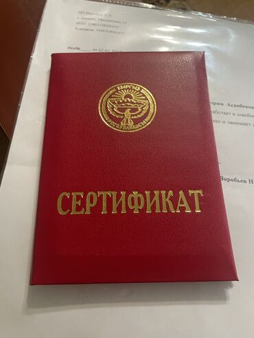 Языковые курсы: Языковые курсы Арабский, Китайский, Кыргызский Для взрослых, Для детей — 5