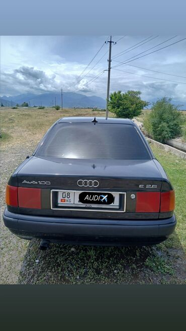 Audi: Audi 100: 1992 г., 2.3 л, Механика, Бензин, Седан — 4