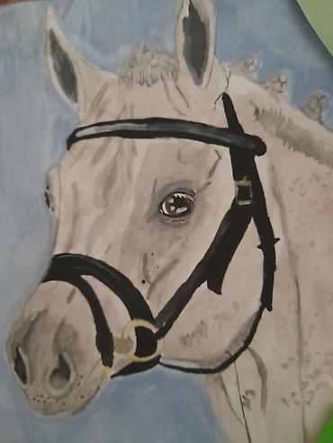 Портреты: Все картины нарисованы мною: на холсте,картоне,бумаге; — 9