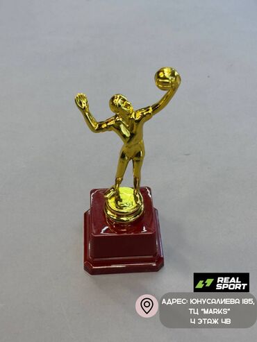 Другое для спорта и отдыха: Кубки, статуэтки, номинации. Золотые кубки, статуэтки, номинации, а — 5