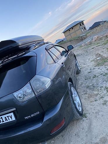 Lexus: Lexus RX: 2003 г., 3 л, Автомат, Газ, Кроссовер — 12
