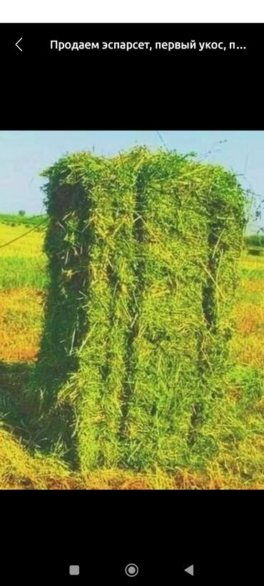 час пик такси сокулук номер телефона: Беде пресс сатып алам Ыссык атинский район с жар башы 150 шт 220