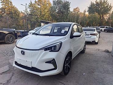 Changan: Changan Benben E-Star: 2024 г., Вариатор, Электромобиль, Хэтчбэк — 3
