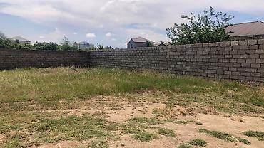 visnovka: 3 sot, Tikinti, Mülkiyyətçi, Kupça (Çıxarış) — 1