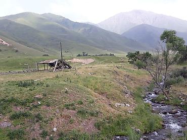 ысык куле: 10 соток, Айыл чарба үчүн, Сатып алуу-сатуу келишими — 1