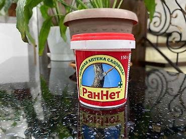 Спил деревьев, заготовка дров: Обрезка плодовых деревьев !!! Также обрезка хвойных и различных at lalafo.kg — 13 Спил деревьев, заготовка дров: Обрезка плодовых деревьев !!! Также обрезка хвойных и различных — 13