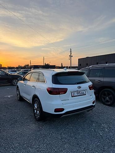под спада боковой дверь: Kia Sorento: 2018 г., 2.2 л, Автомат, Дизель, Внедорожник — 5