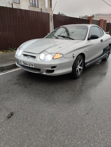 бу квадроциклы купить: Hyundai Tiburon: 1999 г., 2 л, Автомат, Бензин, Купе