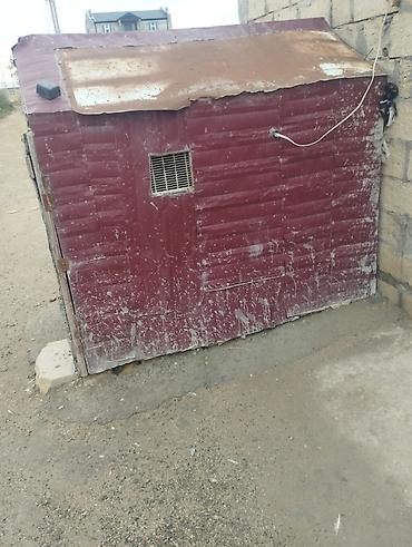 qara mal: Qiymət 150.m. catrlma yoxdu - Material: taxta karkas, üstü — 1