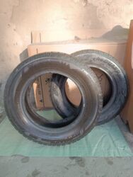 покрышка 14: Шиналар 195 / 65 / R 15, Кыш, Колдонулган, Комплект, Yokohama