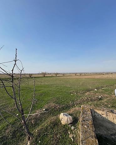 Продажа участков: 125 соток — 4