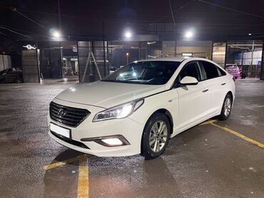 Hyundai: Hyundai Sonata: 2016 г., 2 л, Автомат, Газ, Седан