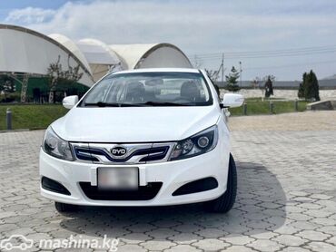 накладки на ручки: BYD Dolphin: 2019 г.