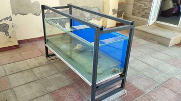 купить аквариум в баку: Demir stelajla birlikde akvarium satiram hec bir problemi yoxdur
