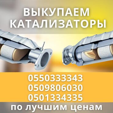 горящие туры во вьетнам из бишкека: Катализатор дорого котализатор котолизатор католизатор дорого анализ