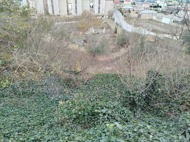 Torpaq sahələrinin satışı: 10 sot, Tikinti, Maklerlər narahat etməsin, Kupça (Çıxarış) — 11