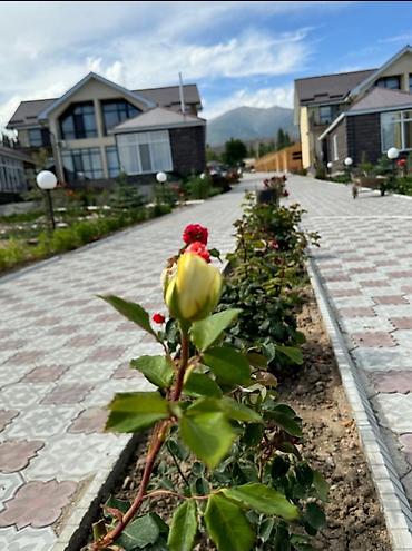 Иссык-Куль 2026: Коттедж, ЦО Аврора, Бостери, Детская площадка, Парковка, стоянка, Охраняемая территория — 2