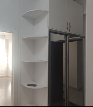 Ev üçün digər mebel: Dəhliz dolabı