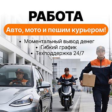 life network system: Требуется Велокурьер, Мото курьер, На самокате Подработка, Гибкий график, Техподдержка, Старше 18 лет — 1