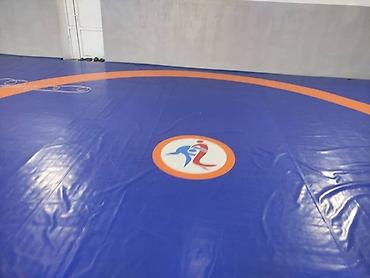 Другое для спорта и отдыха: Борцовские ковры. маты . чучело . канат. даянги. татами. груши — 3