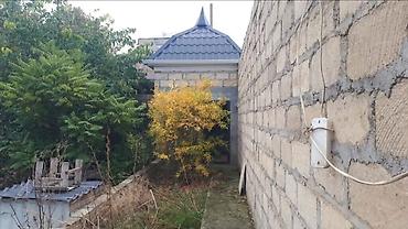 hovuzlu bağ evi: 6 otaqlı, 400 kv. m, Kredit yoxdur, Təmirsiz — 6