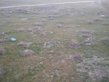 Torpaq sahələrinin satışı: 6 sot, Tikinti, Mülkiyyətçi, Bələdiyyə -da lalafo.az — 6 Torpaq sahələrinin satışı: 6 sot, Tikinti, Mülkiyyətçi, Bələdiyyə — 6