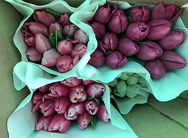 Букеты из живых цветов: Тюльпаны оптом ! — 10