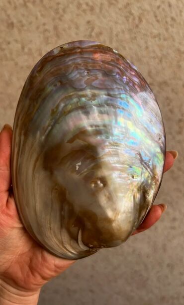 Часы для дома: Сувениры из Египта Зеркальце 250 сом. Магниты по 150 сом. Арафатка — 9