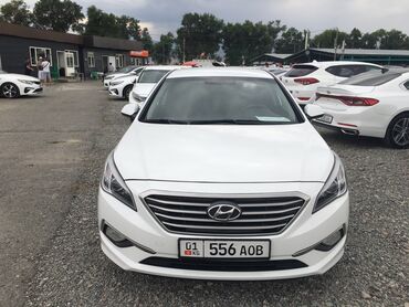 королла 2016: Hyundai Sonata: 2016 г., 0.2 л, Автомат, Газ, Седан