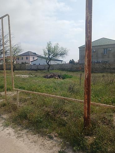bagi: 6 sot, Tikinti, Mülkiyyətçi, Kupça (Çıxarış) — 6