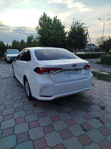 весло: Toyota Corolla: 2021 г., 1.8 л, Автомат, Гибрид, Седан — 4