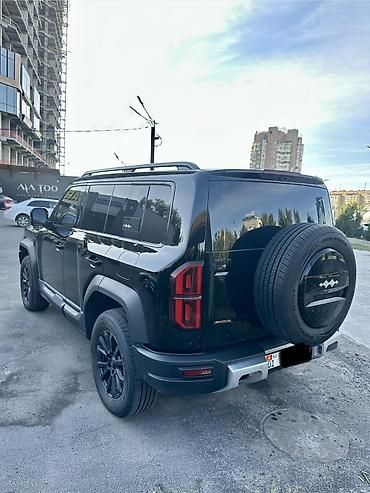 богажник авто: BYD FangChengBao Leopard 5: 2023 г., 1.5 л, Автомат, Гибрид, Внедорожник — 3