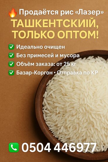 оливковое масло цена за 1 литр бишкек: 🔥 Продаётся рис "Лазер" — ташкентский, только ОПТОМ! 🔥 🌾 Сорт: Лазер