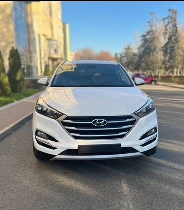 хундай акцен: Hyundai Tucson: 2017 г., 2 л, Автомат, Дизель, Кроссовер