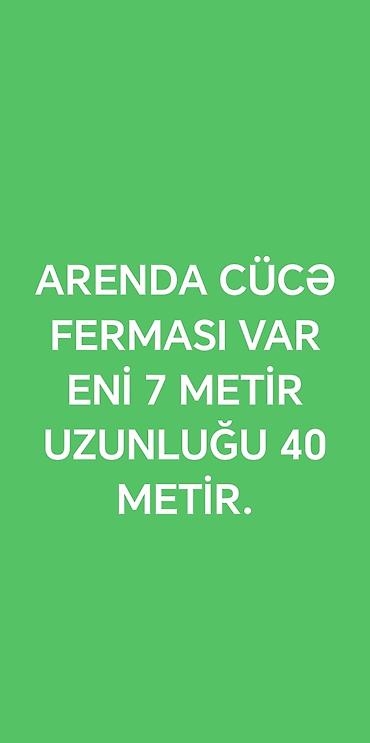 icarə pub: Arenda üçün cücə ferması. Ölçülər: - En: 7 metr - Uzunluq: 40 metr — 1