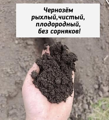 Грунт, чернозем: Чернозём плодородный для огорода, газона и ландшафта. Характеристики — 1