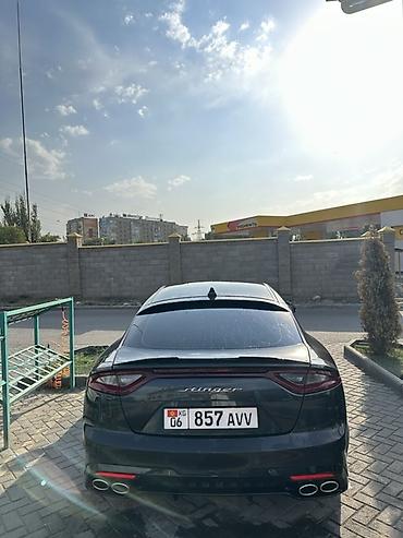 work kiwami: Kia Stinger: 2017 г., 2 л, Автомат, Бензин, Фастбек — 6
