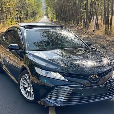 Такси: Такси Алматы Аэропорт Круглосуточно 24/7 Предоставим все виды — 24