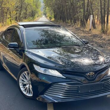 Трансфер, пассажирские перевозки: Аэропорт, Кордай КПП, Иссык-Куль Такси, легковое авто | 4 мест at lalafo.kg — 5 Трансфер, пассажирские перевозки: Аэропорт, Кордай КПП, Иссык-Куль Такси, легковое авто | 4 мест — 5