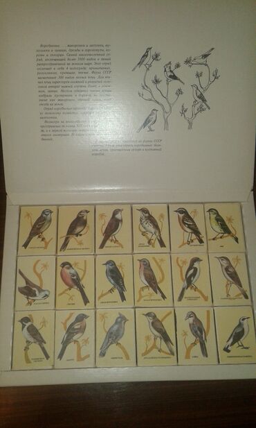 Digər kolleksiyalar: К вниманию коллекционеров советских товаров. Продам коллекцию спичек — 3