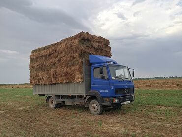 трактор беларусь 82 1: Легкий грузовик, Б/у