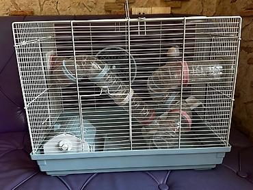 heyvan oyuncaqlari: Heyvan üçün qəfəs satılır,xamyak,dovşan,papuqay və sairə kiçik — 3