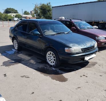 sprinter 315: Toyota Sprinter: 1995 г., 1.5 л, Механика, Бензин, Седан