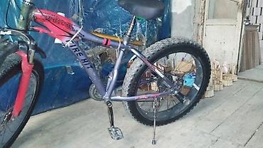 qalin teker velosiped: Fatbike tipli dağ velosipedi - Geniş “fat” təkərlər: Vee Tire Co — 2